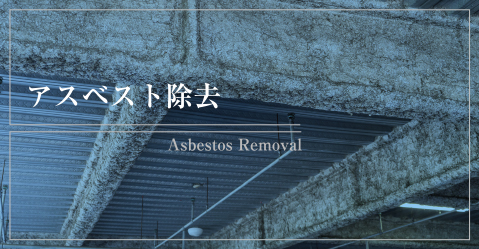アスベスト除去 Asbestos Removal